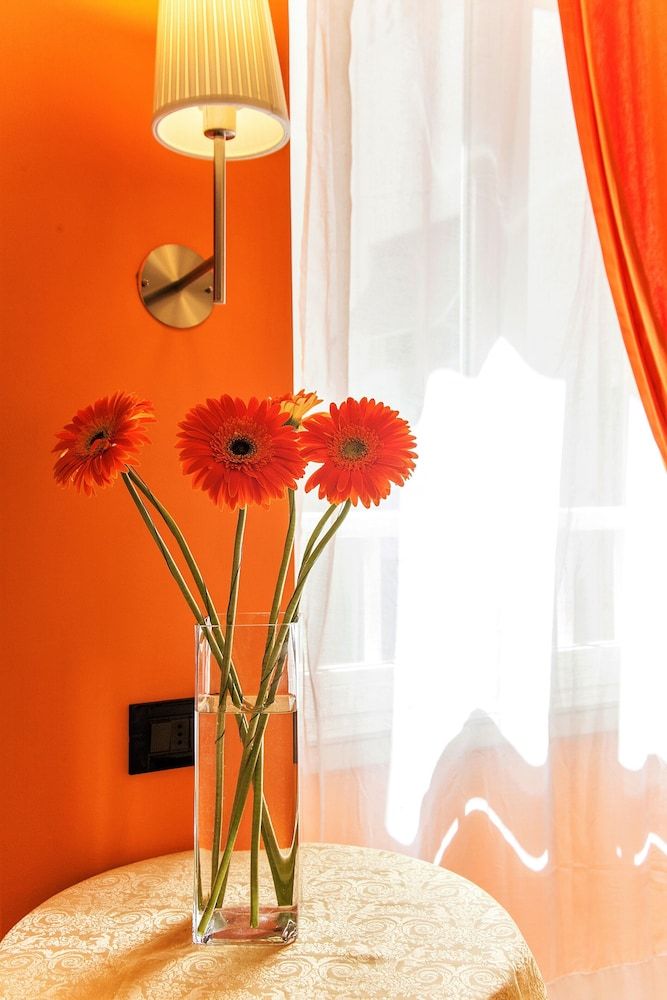 undefined Hotel Tuscolana 9