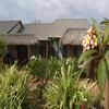 Mantra Frangipani Broome