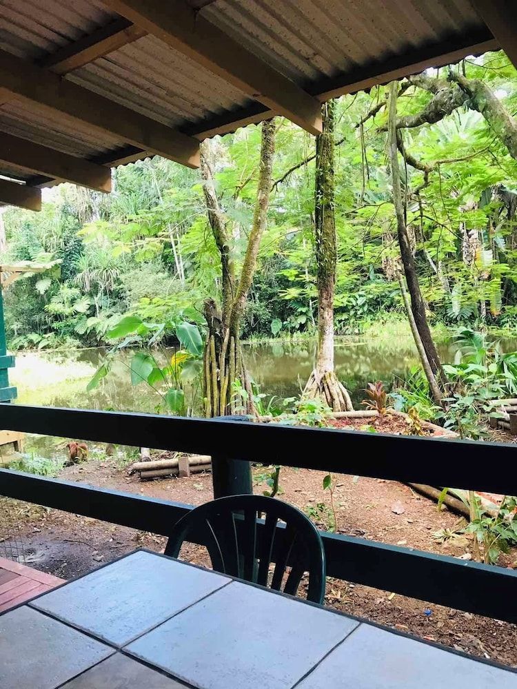 Rainforest Eco Lodge Budget Twin - Pond View 2