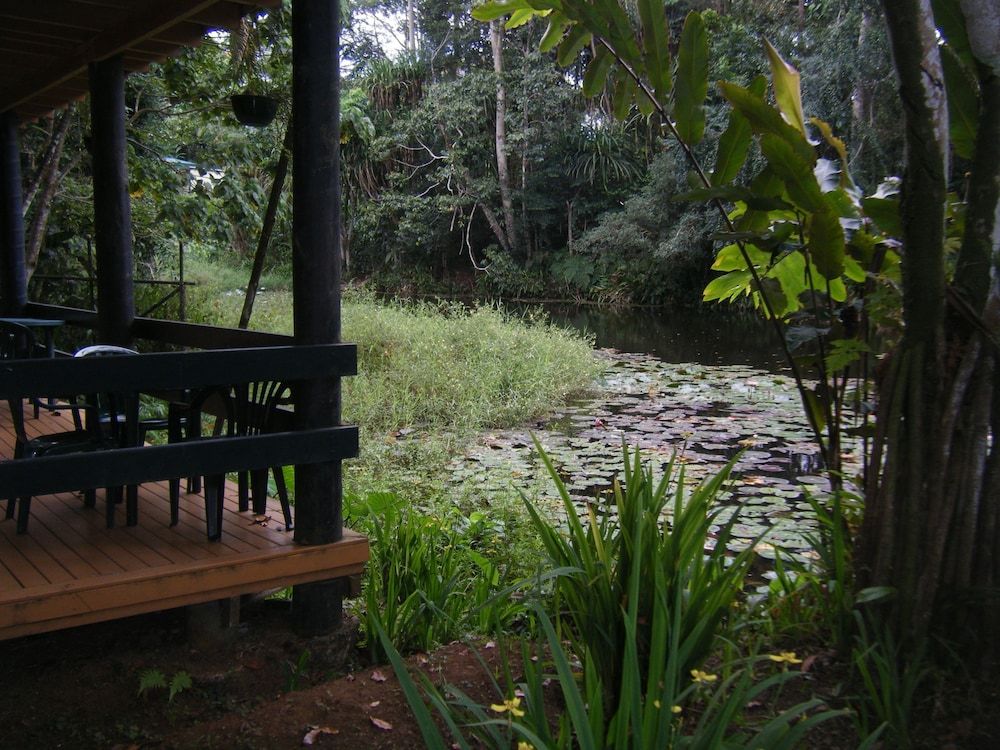 Rainforest Eco Lodge Budget Twin - Pond View 3