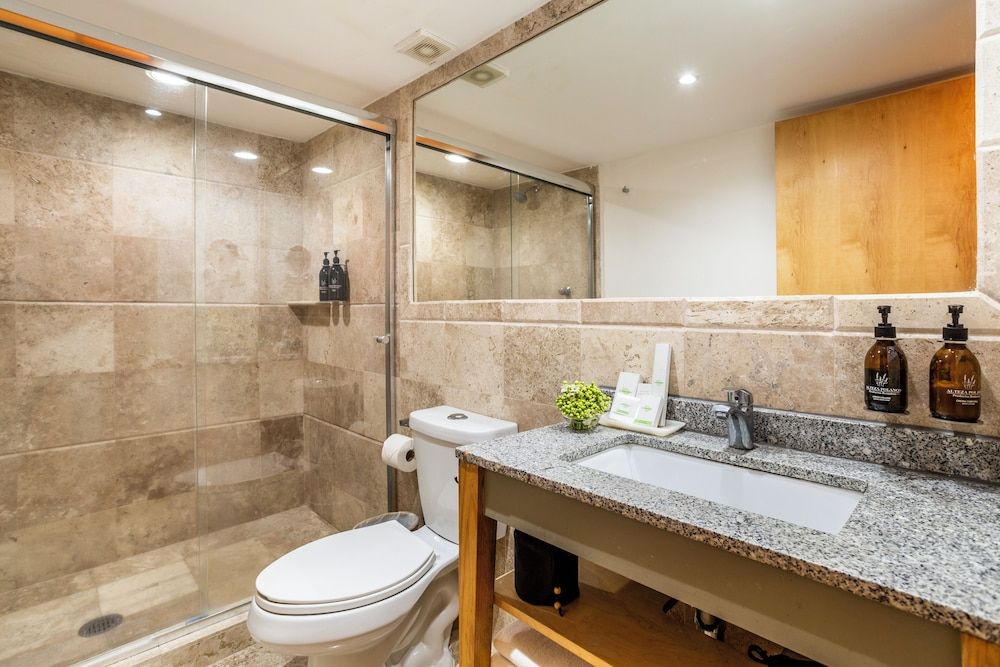 Alteza Polanco Deluxe Room, 1 Queen Bed 10