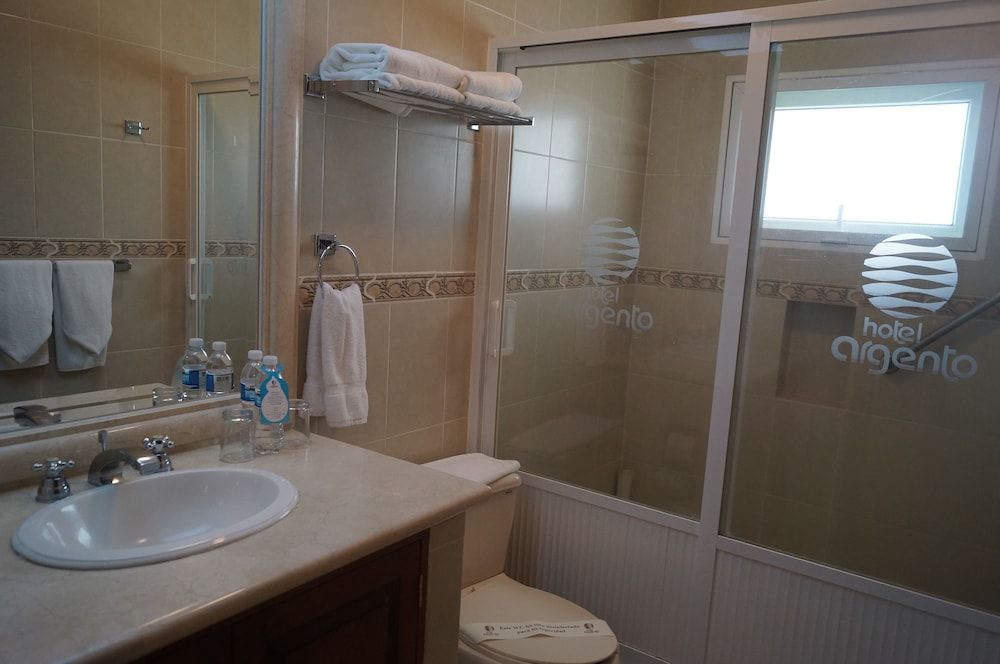 Hotel Argento Standard Room, 1 King Bed 4