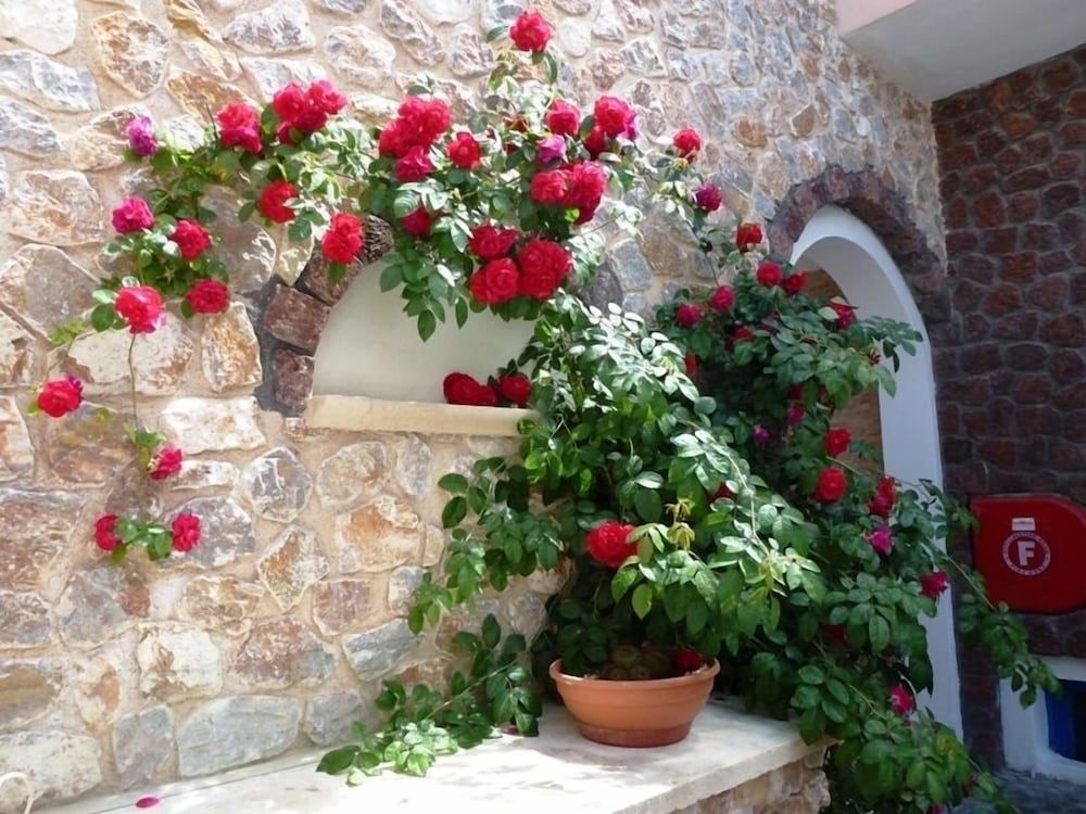 undefined Atalos Suites 6