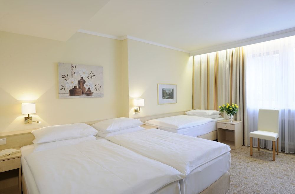 undefined Hotel Scherer 8