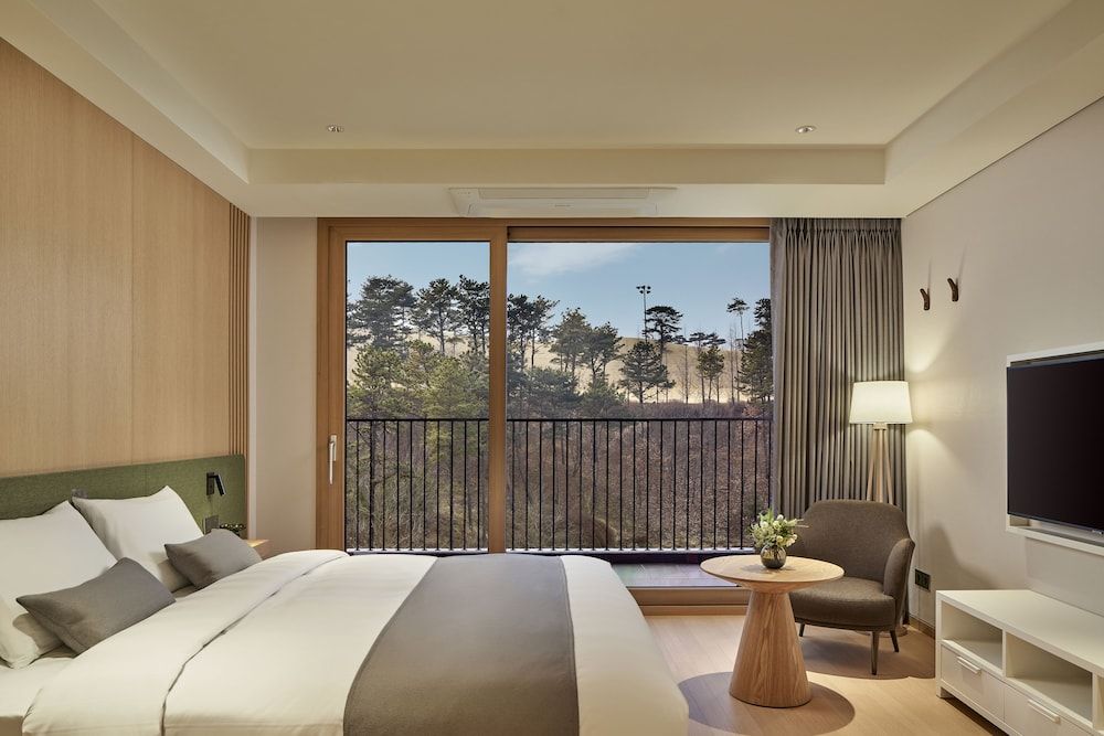 Lotte Buyeo Resort Deluxe Double Room