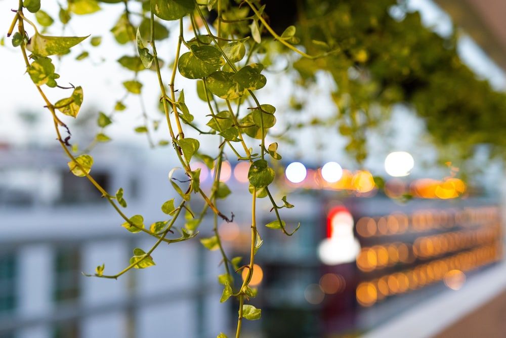 undefined Soho Playa Hotel 4