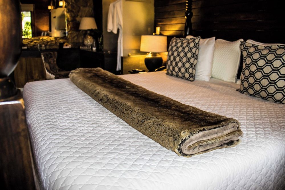 Hotel Matea Inn Suite Duranta Junior 10