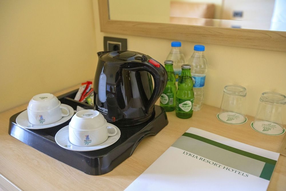 Dalaman Airport Lykia Thermal & Spa Hotel Standard Double or Twin Room, 1 Bedroom 8