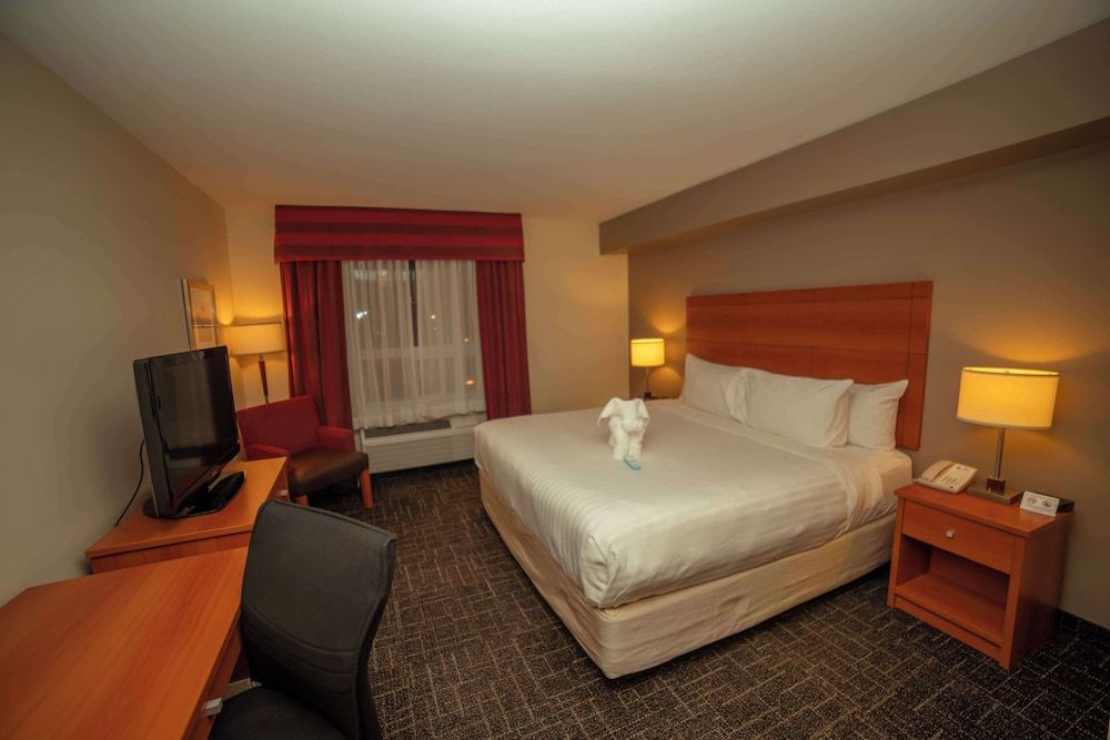 Standard Room, 1 King Bed, Non Smoking