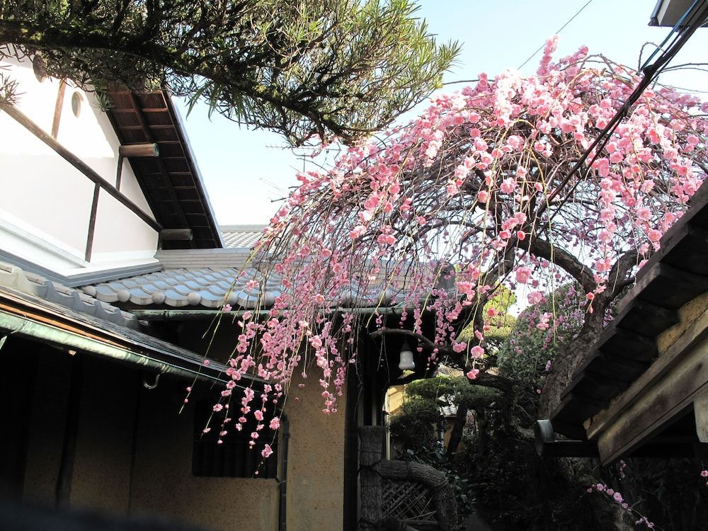 Guesthouse Nara Backpackers