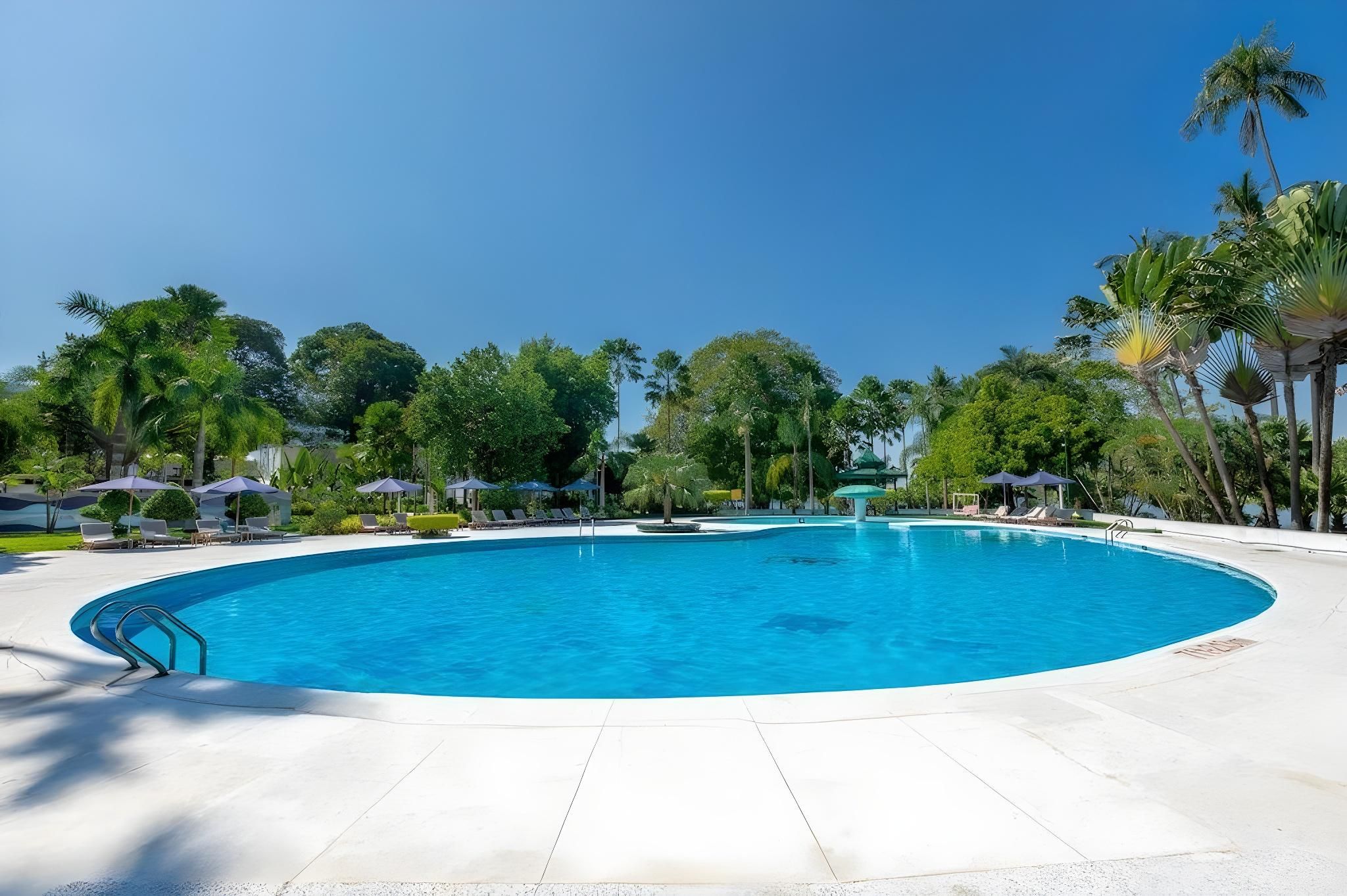 ebb78b4f9a32df75ec1265ff12f39672