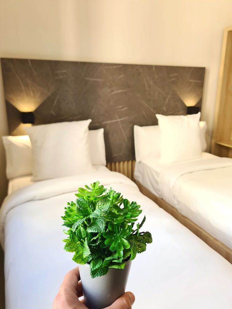 Hotel Casa Gardenia Standard Double or Twin Room 2