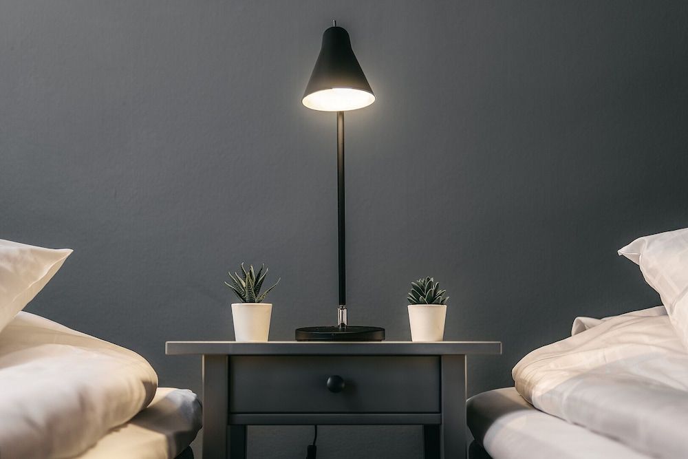 Hotell Björken Double Room, 2 Twin Beds 13