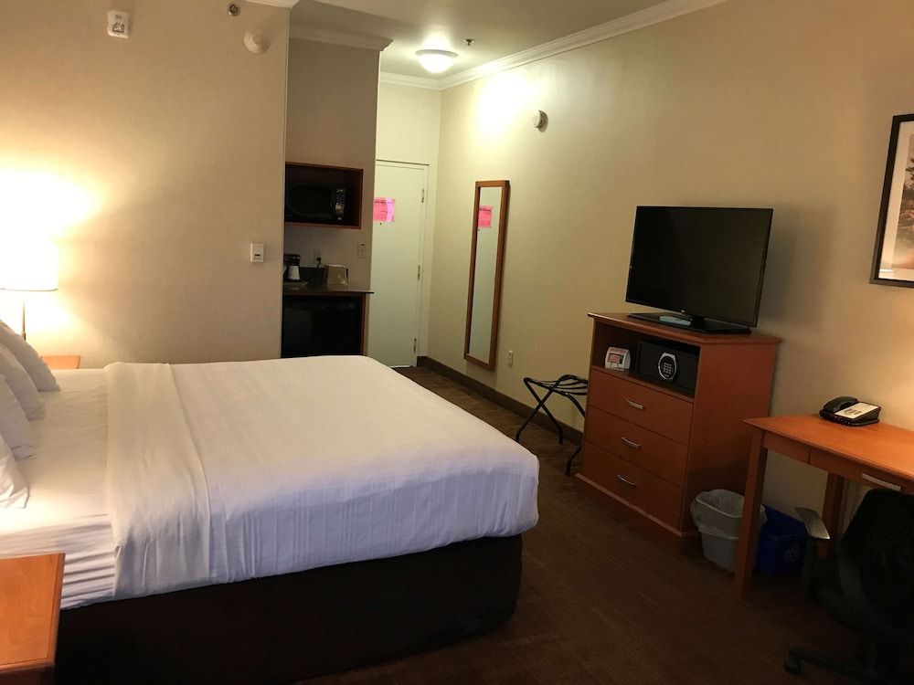 Best Western Thunder Bay Crossroads Business Room, 1 King Bed, Non Smoking, Refrigerator & Microwave