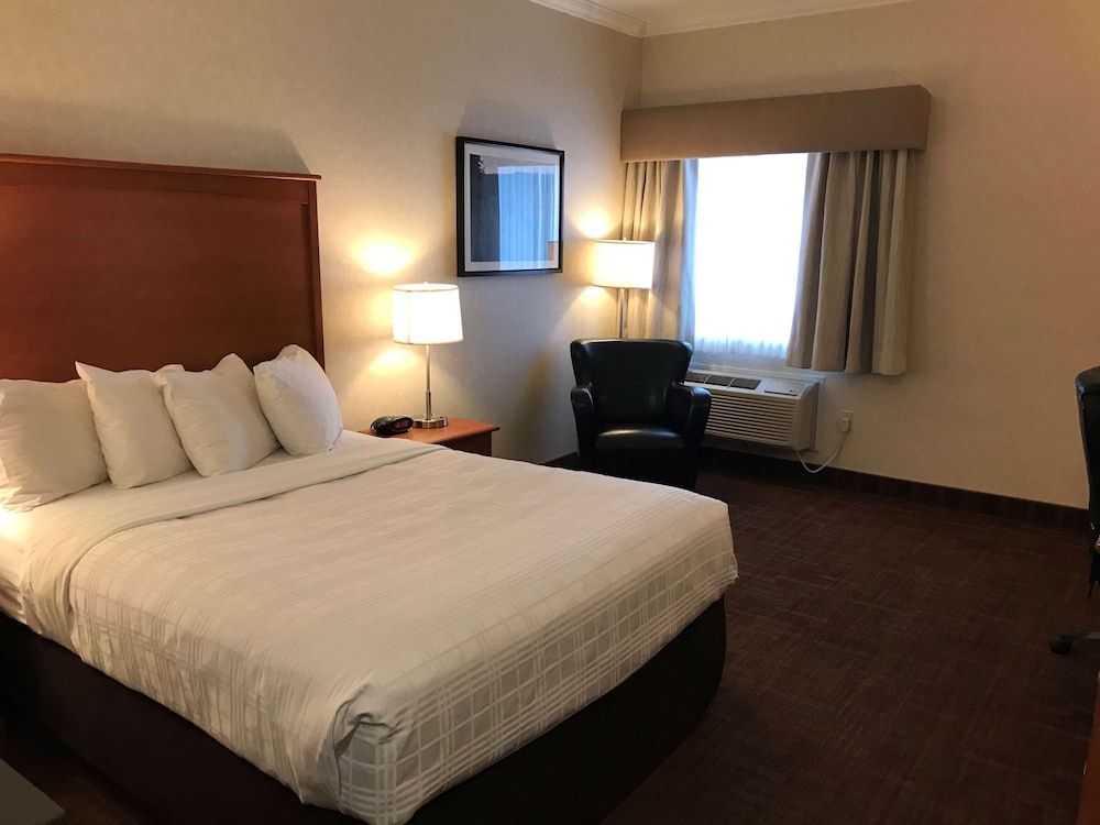 Best Western Thunder Bay Crossroads Business Room, 1 Queen Bed, Non Smoking, Refrigerator & Microwave