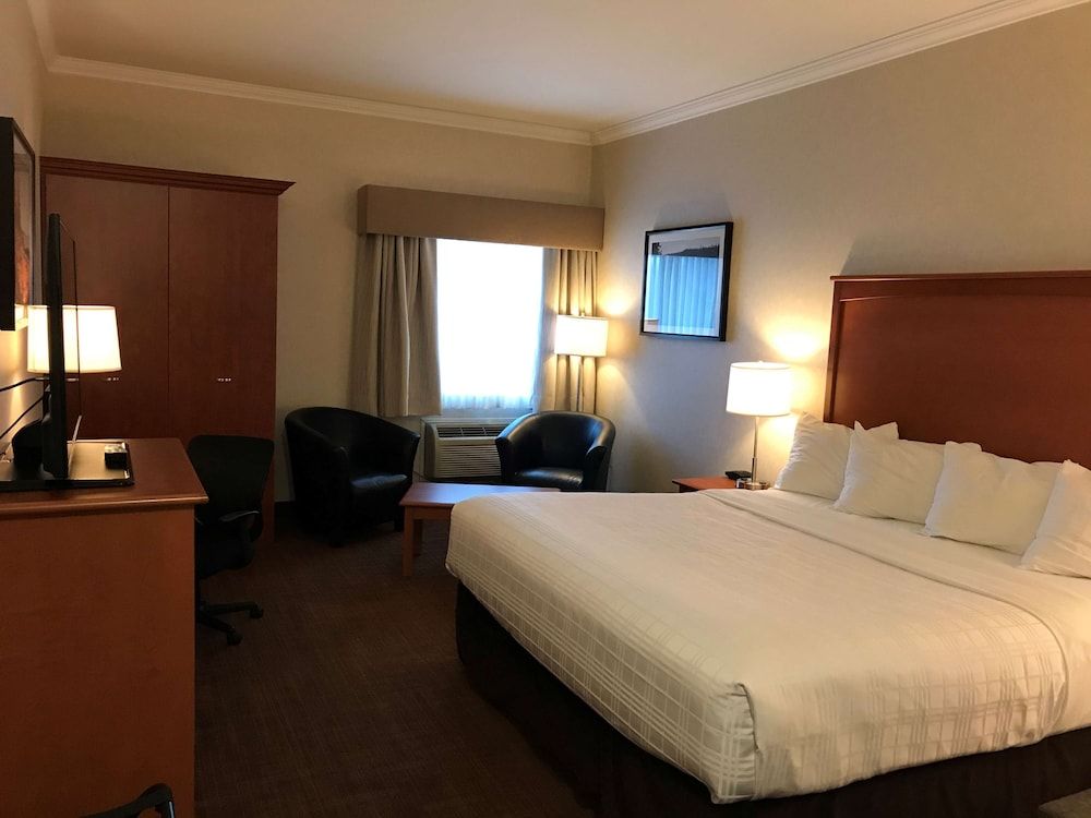 Best Western Thunder Bay Crossroads Business Room, 1 King Bed, Non Smoking, Refrigerator & Microwave 2