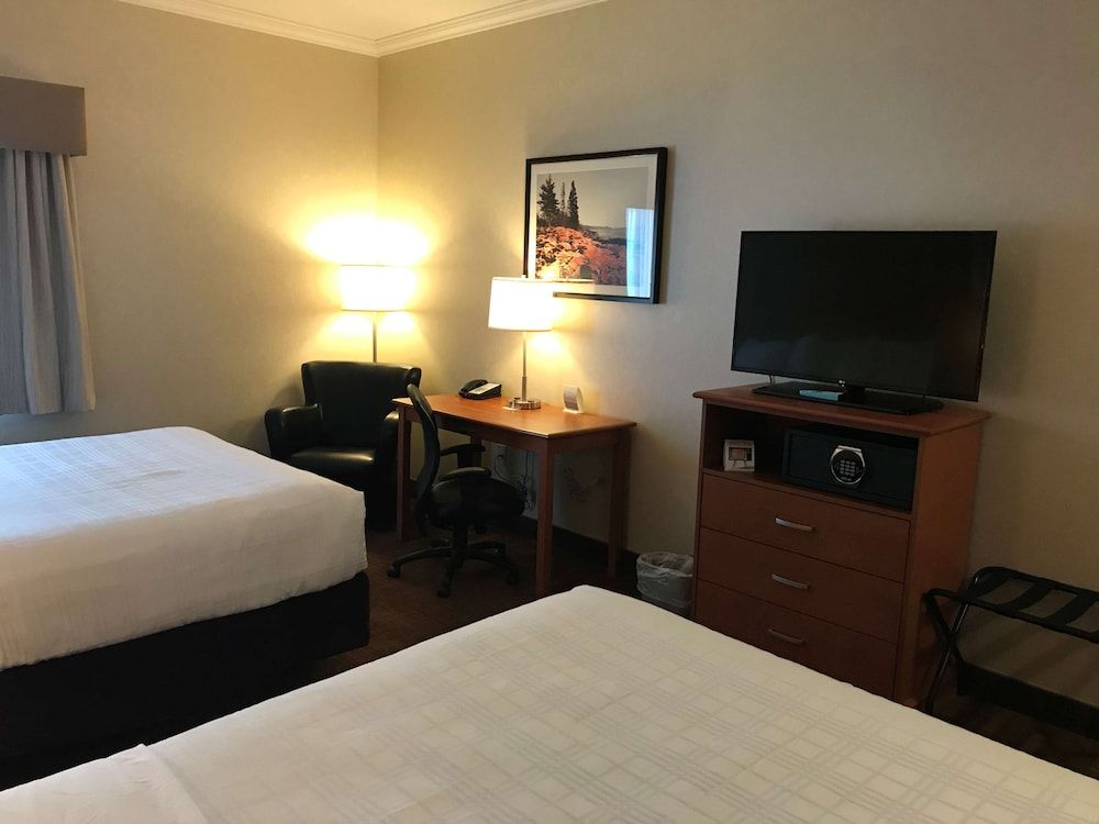 Best Western Thunder Bay Crossroads Business Room, 2 Queen Beds, Non Smoking, Refrigerator & Microwave 2
