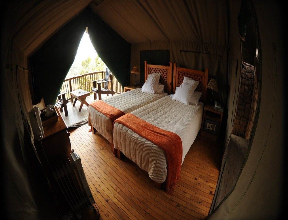 Bush Camp Safari Tent
