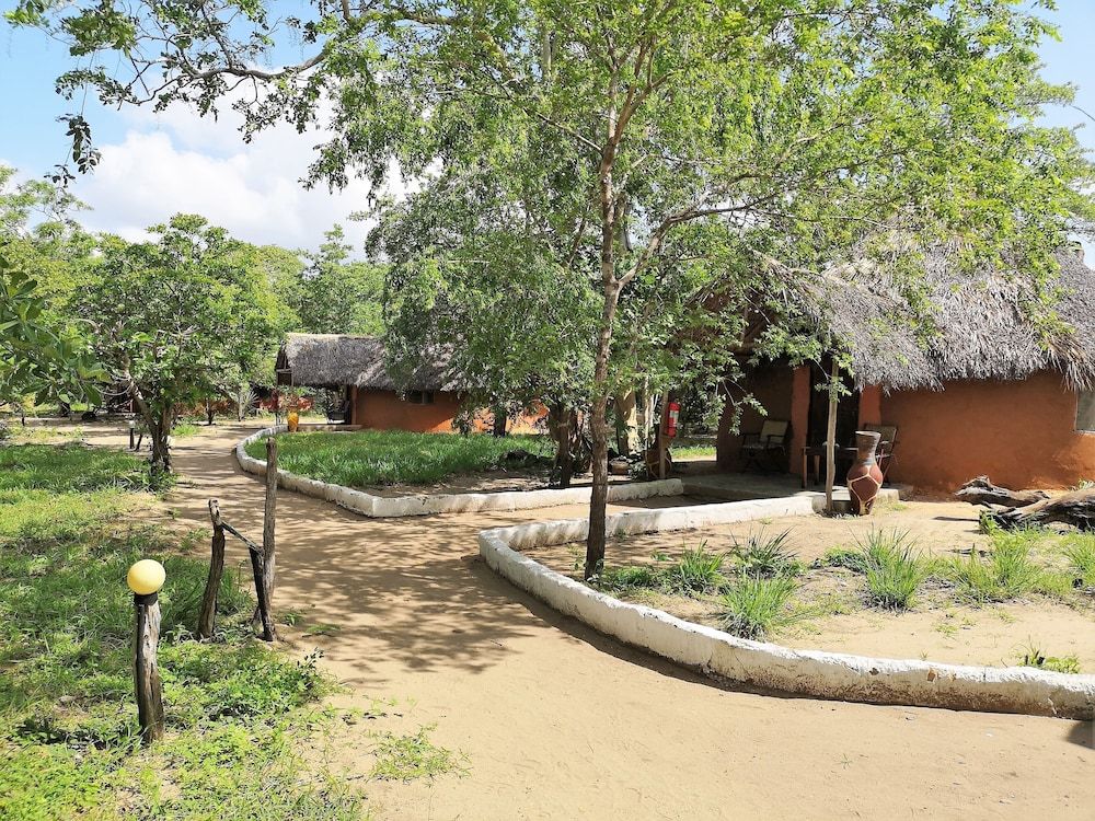 Africa Safari Selous