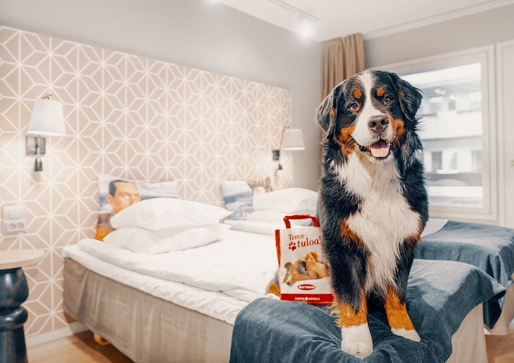 Original Sokos Hotel Vaakuna Mikkeli Standard Twin Room 2