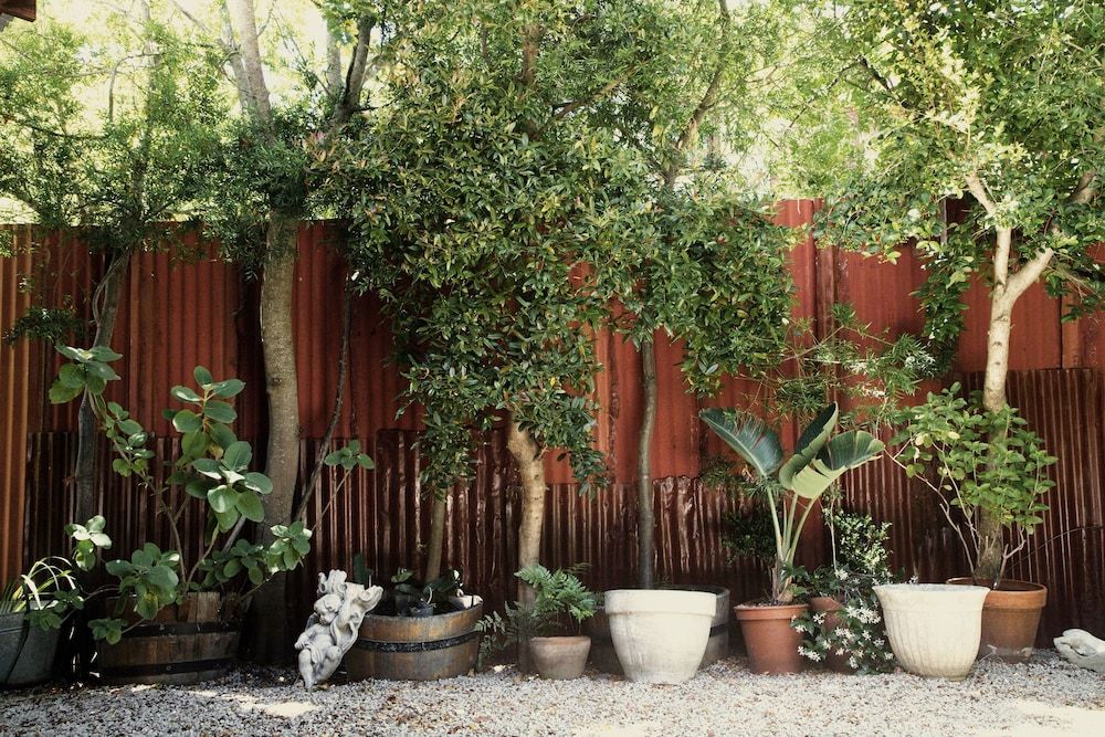 Grand Africa Rooms and Rendezvous Grand Double or Twin Room, 1 King Bed, Patio, Pool View 4