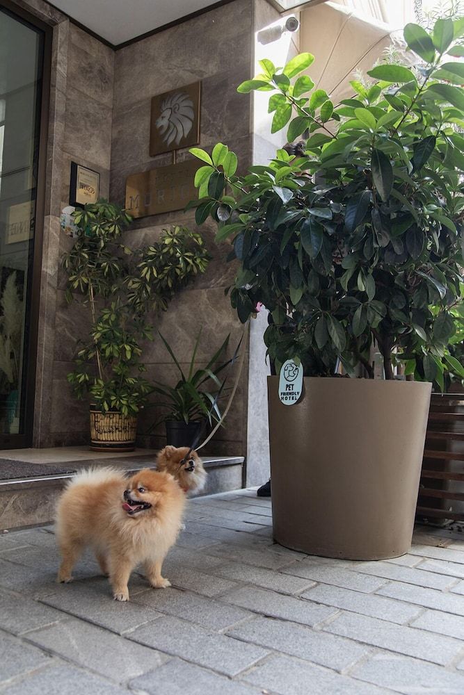 undefined Morione Hotel & Spa Center 2