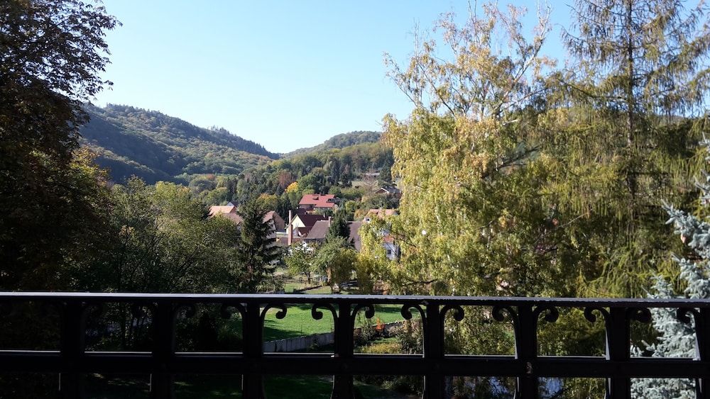 Schlosshotel Stecklenberg Double Room 21