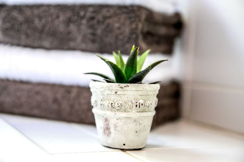 Sixteen Guest House on Main Twin Suite 5