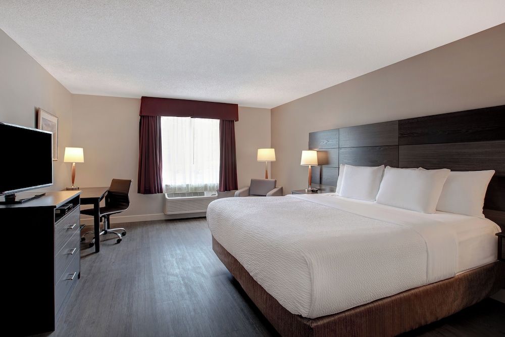 Standard Room, 1 King Bed, Non Smoking