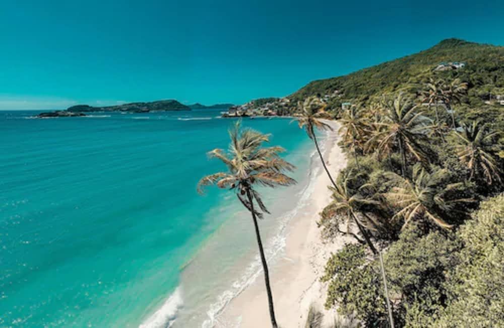 Bequia Beach Hotel Luxury Resort & Spa Suite, 2 Twin Beds, Beach View, Beachfront 7