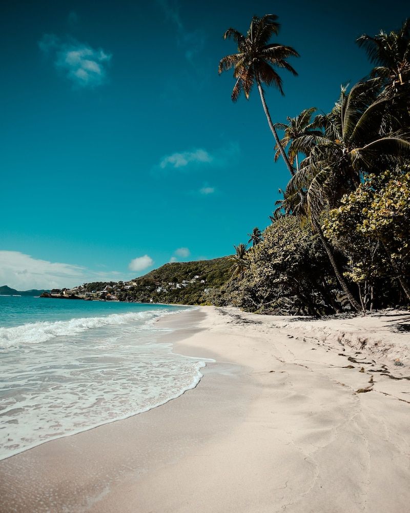 Bequia Beach Hotel Luxury Resort & Spa Suite, 2 Twin Beds, Beach View, Beachfront 6