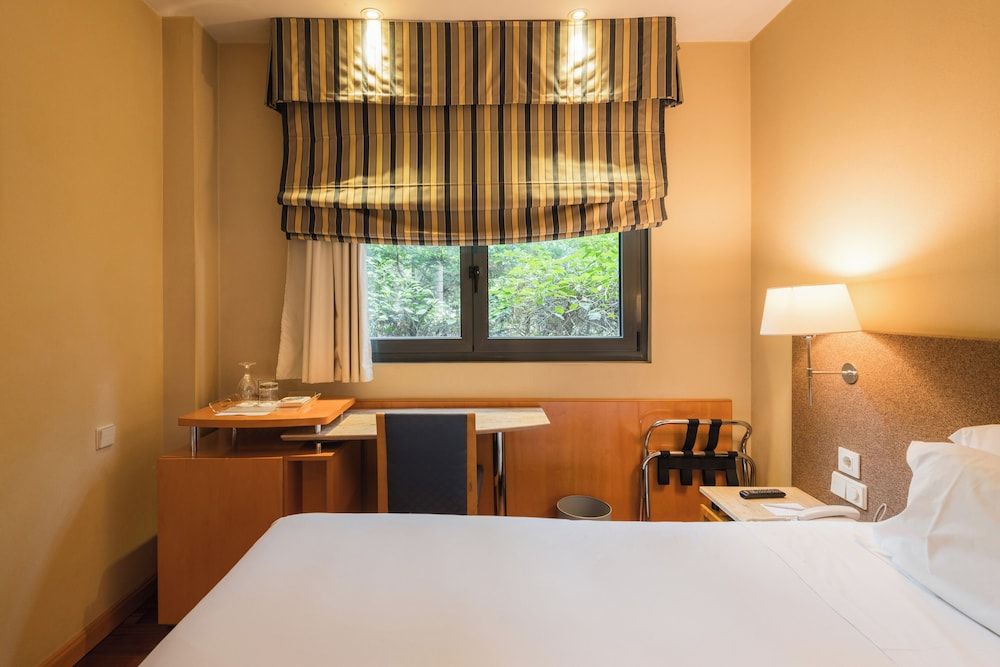 Hotel Ciudad de Valladolid Standard Single Room 7