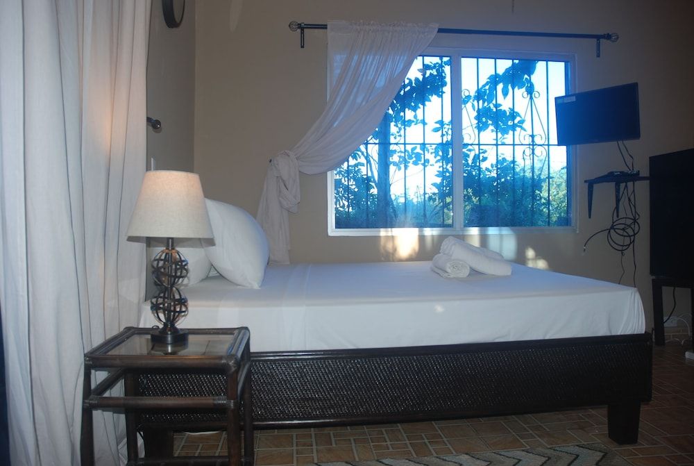 Premier Studio, 1 Queen Bed