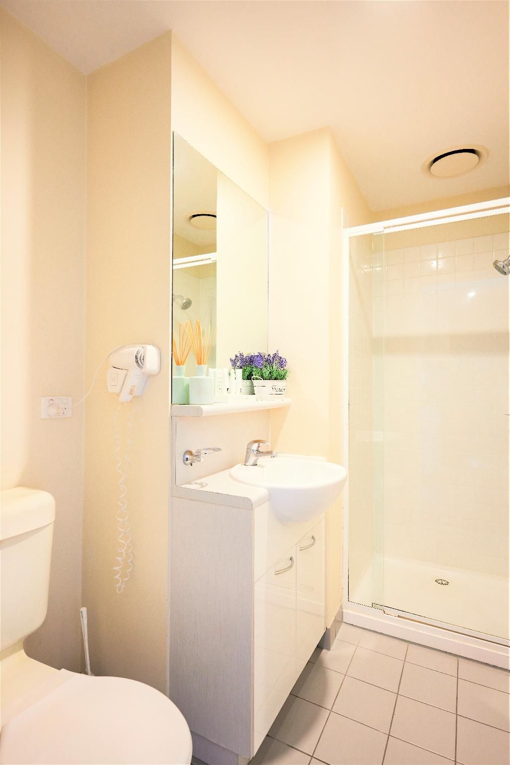 Deluxe One Bedroom Apartment