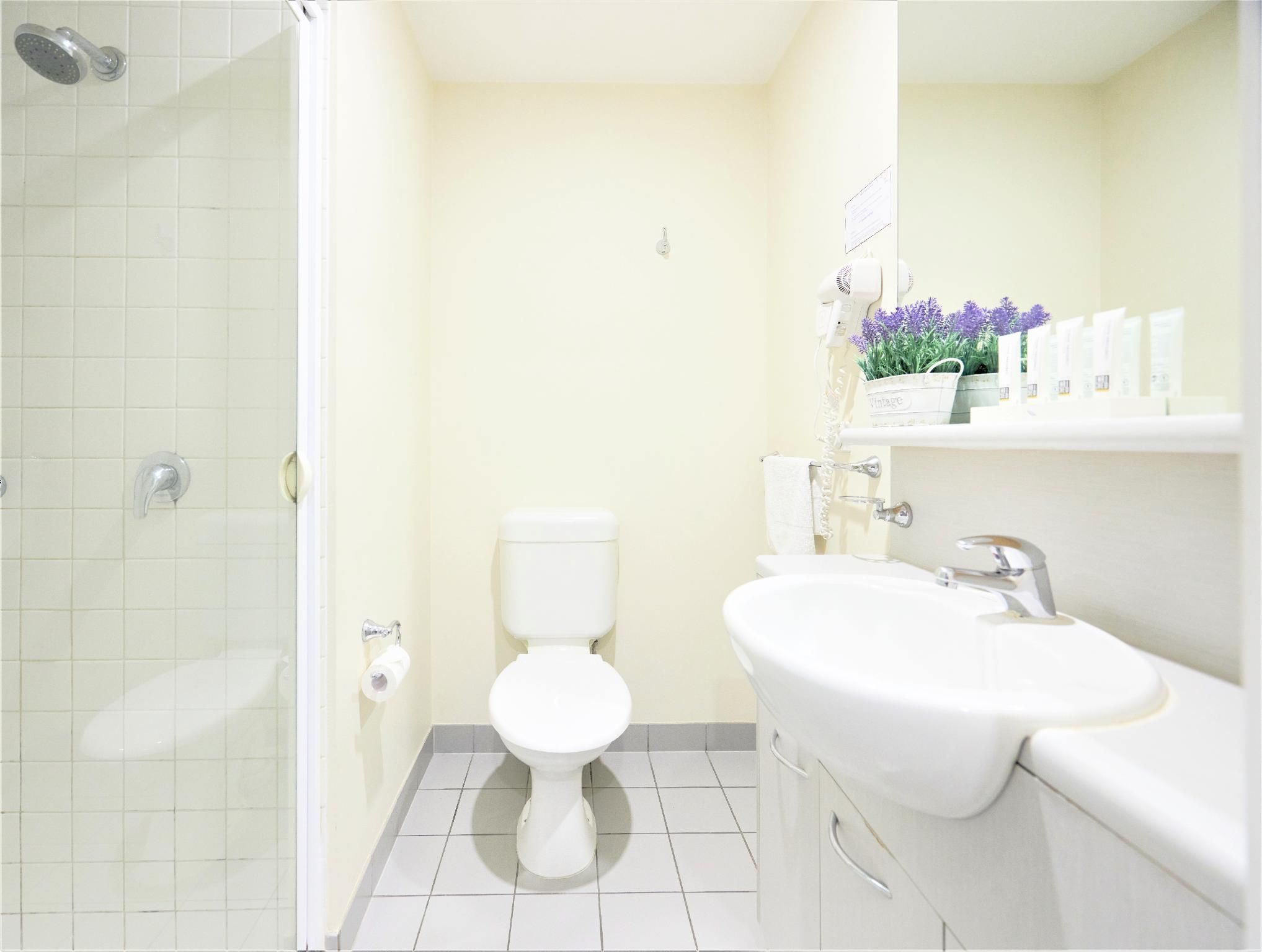 One Bedroom Apartment