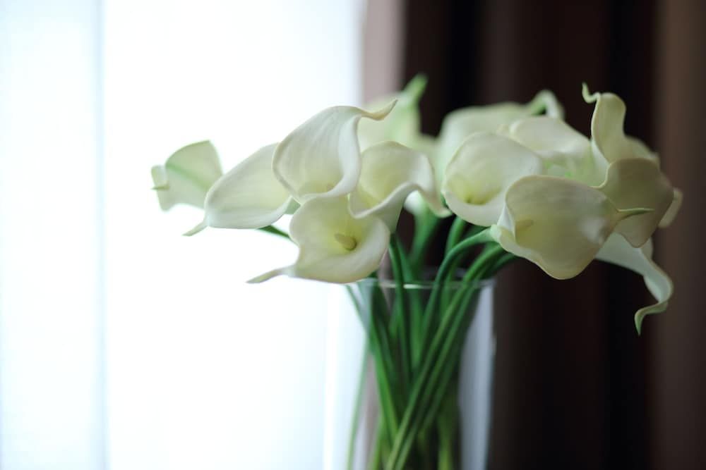 In-Room Amenity