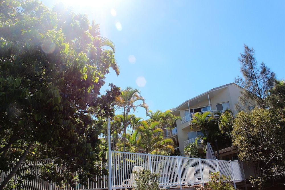 undefined Surfers Del Rey 2