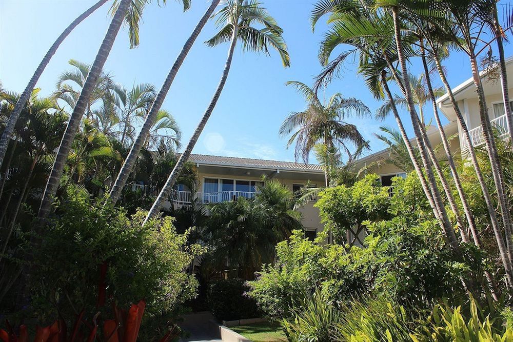 undefined Surfers Del Rey 3