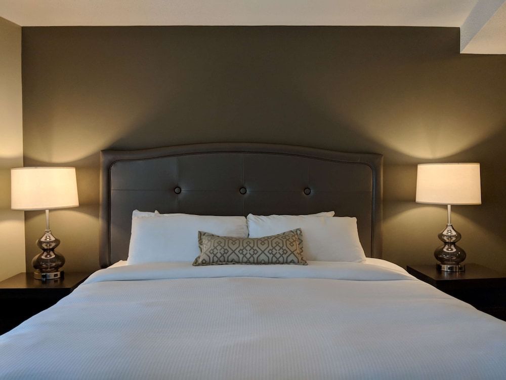 Suite, 1 King Bed, Non Smoking, Refrigerator & Microwave (with Sofabed)