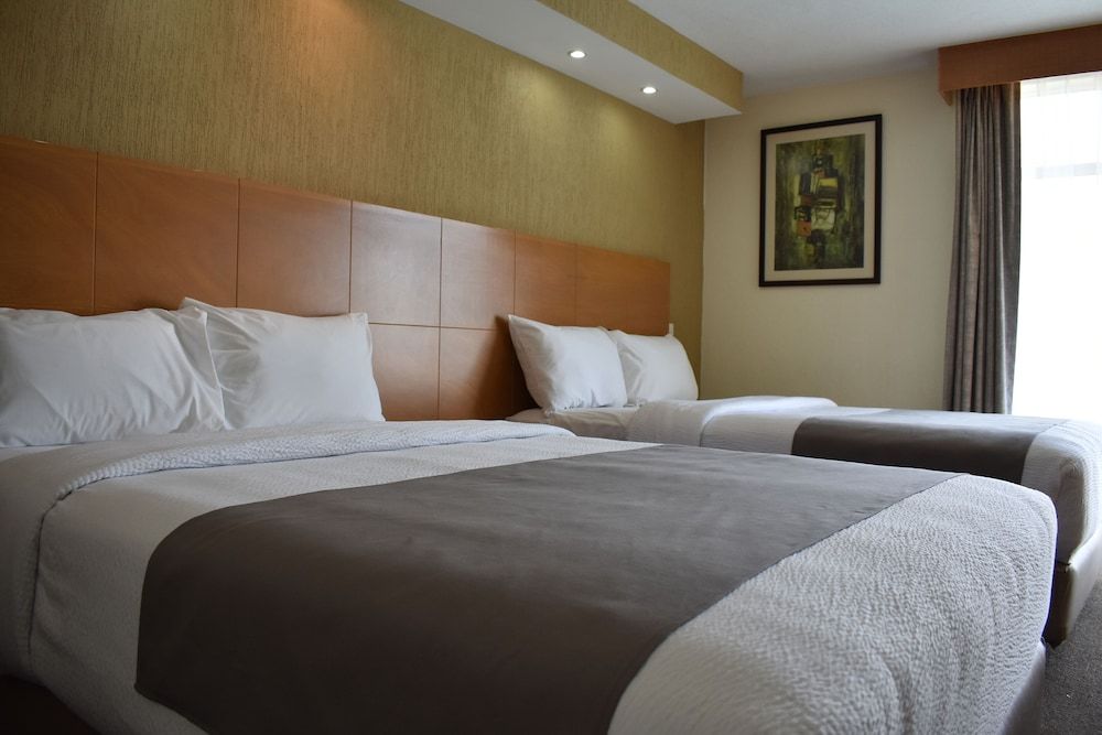 La Posada Hotel & Suites Standard Room 2