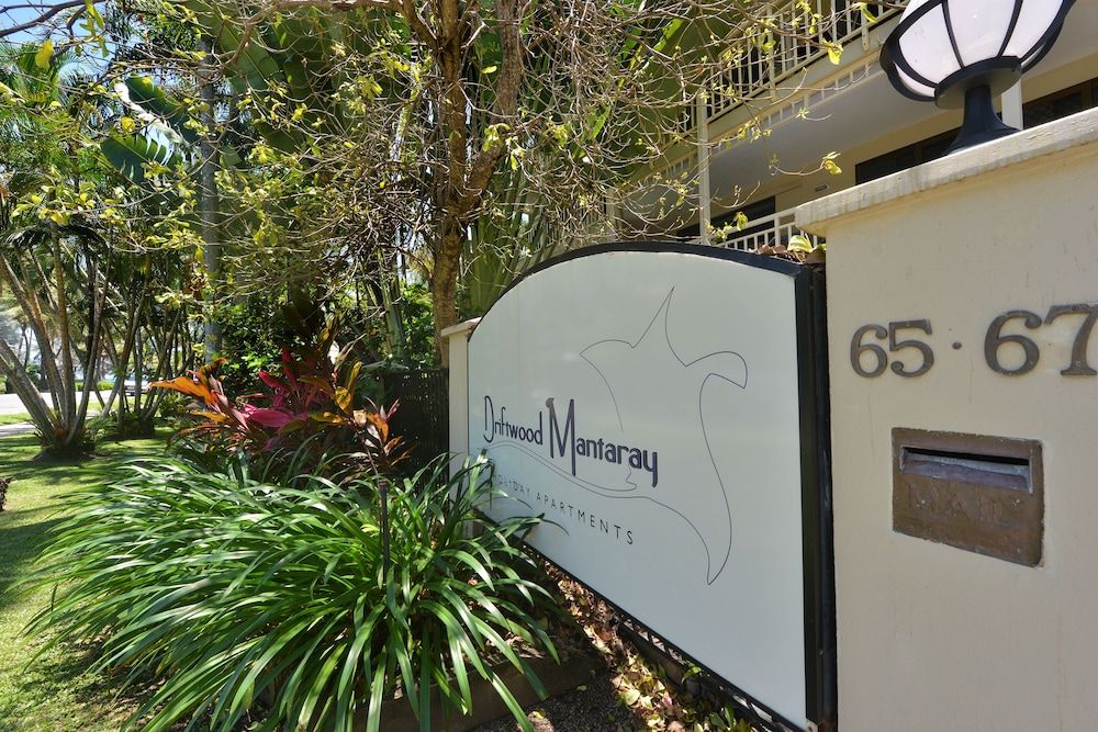 undefined Driftwood Mantaray 6