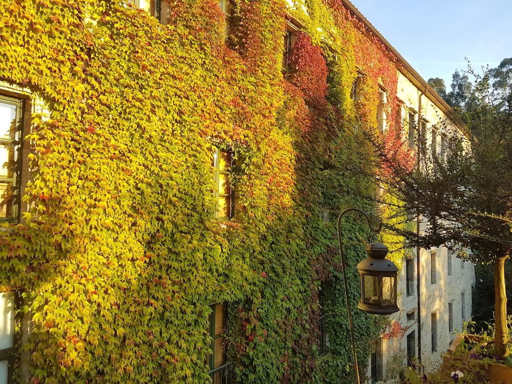 undefined Hotel Spa Relais & Chateaux A Quinta da Auga 4