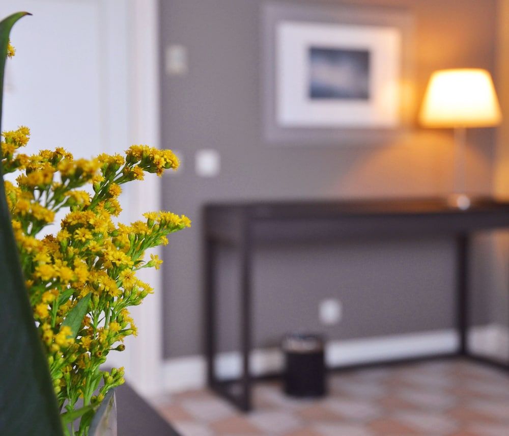 Hotel Do Colégio Superior Suite 11