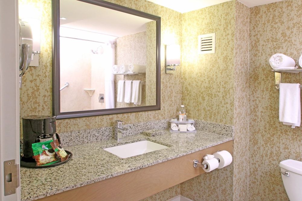 Suite, 1 King Bed