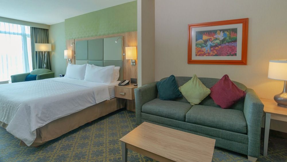 Suite, 1 King Bed with Sofa bed