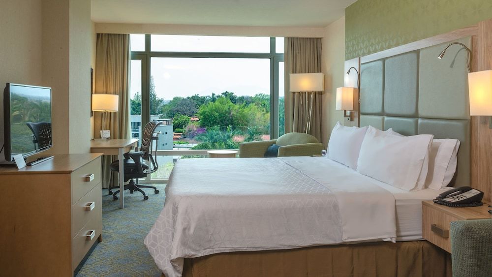Suite, 1 King Bed
