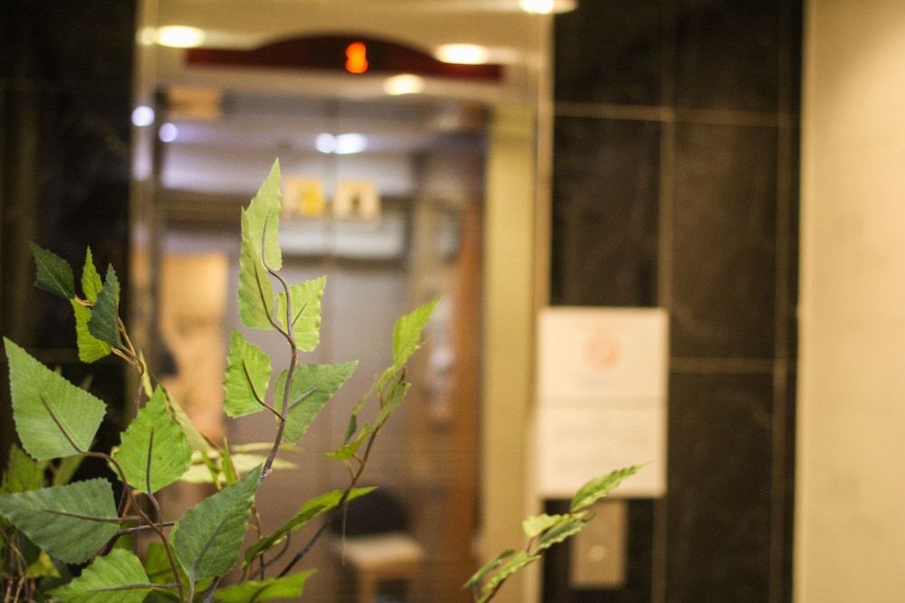 undefined Must Stay Hotel Myeongdong 4