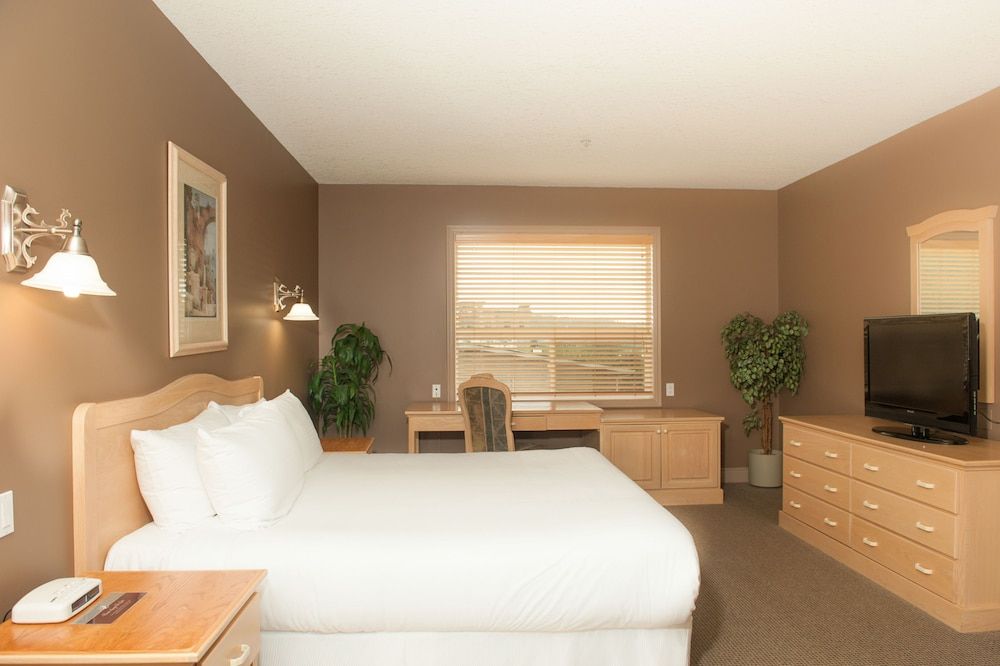 Prime Hotel King Bachelor 8