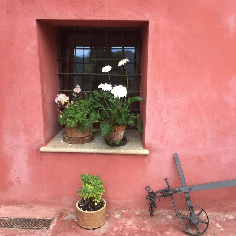 Children's Play Area