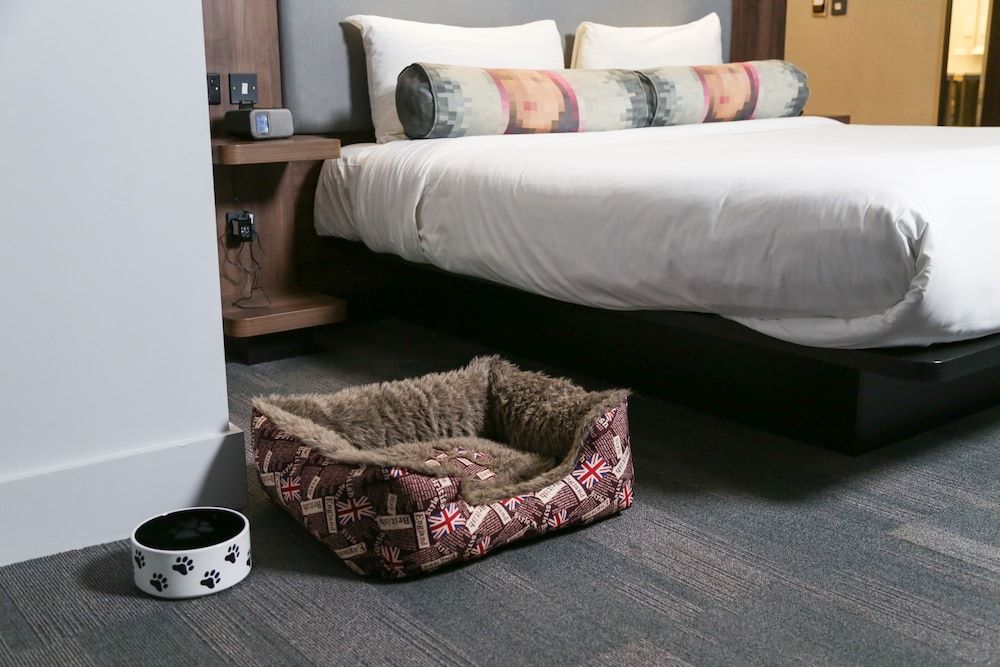 Aloft Liverpool aloft, Room, 1 King Bed 4